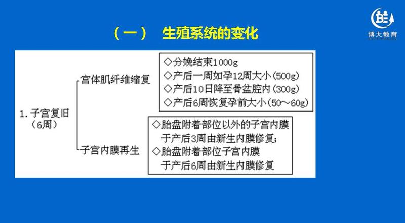 女性07-1.jpg